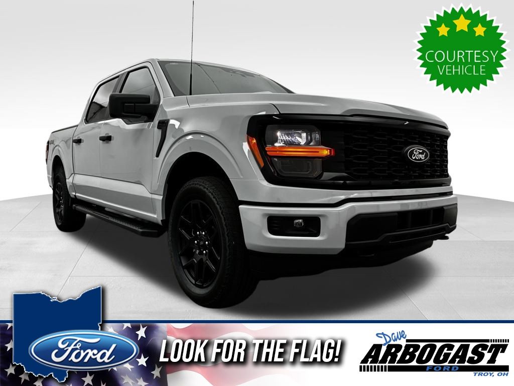 2025 Ford F-150 STX's photo