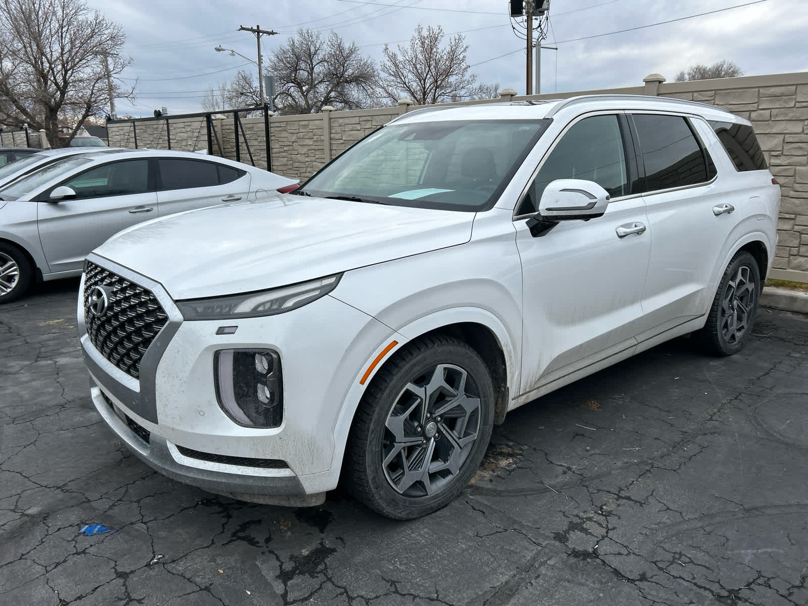 2021 Hyundai Palisade Calligraphy's photo