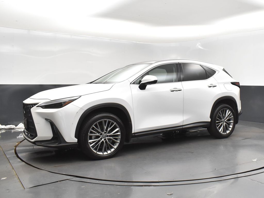 2023 Lexus NX 350 Luxury photo 3
