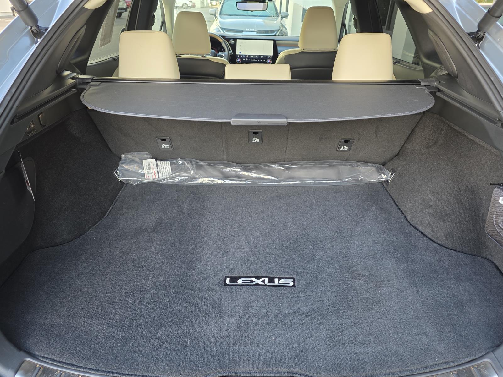 2023 Lexus RX 350 Luxury photo 14