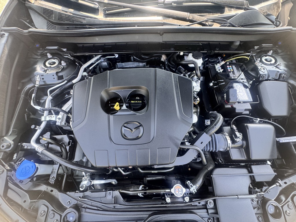 2024 Mazda CX-30 2.5 S Carbon photo 28