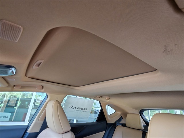 2026 Lexus NX 350 photo 6