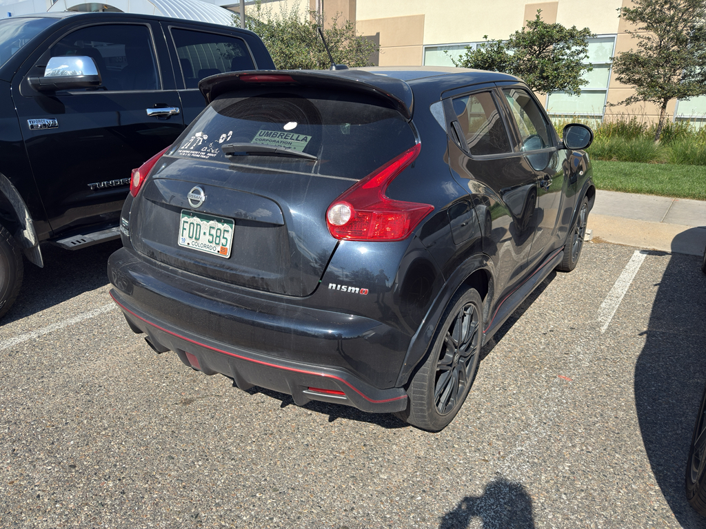 2014 Nissan Juke Nismo photo 6