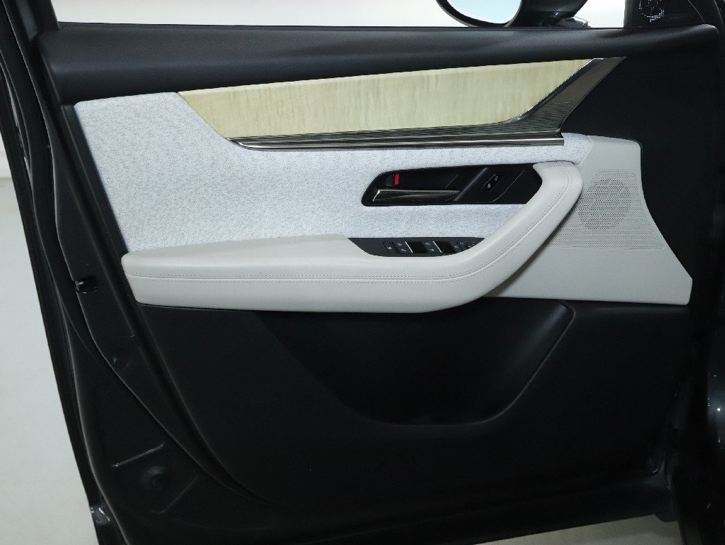 2025 Mazda CX-90 3.3 Turbo Premium Plus photo 14