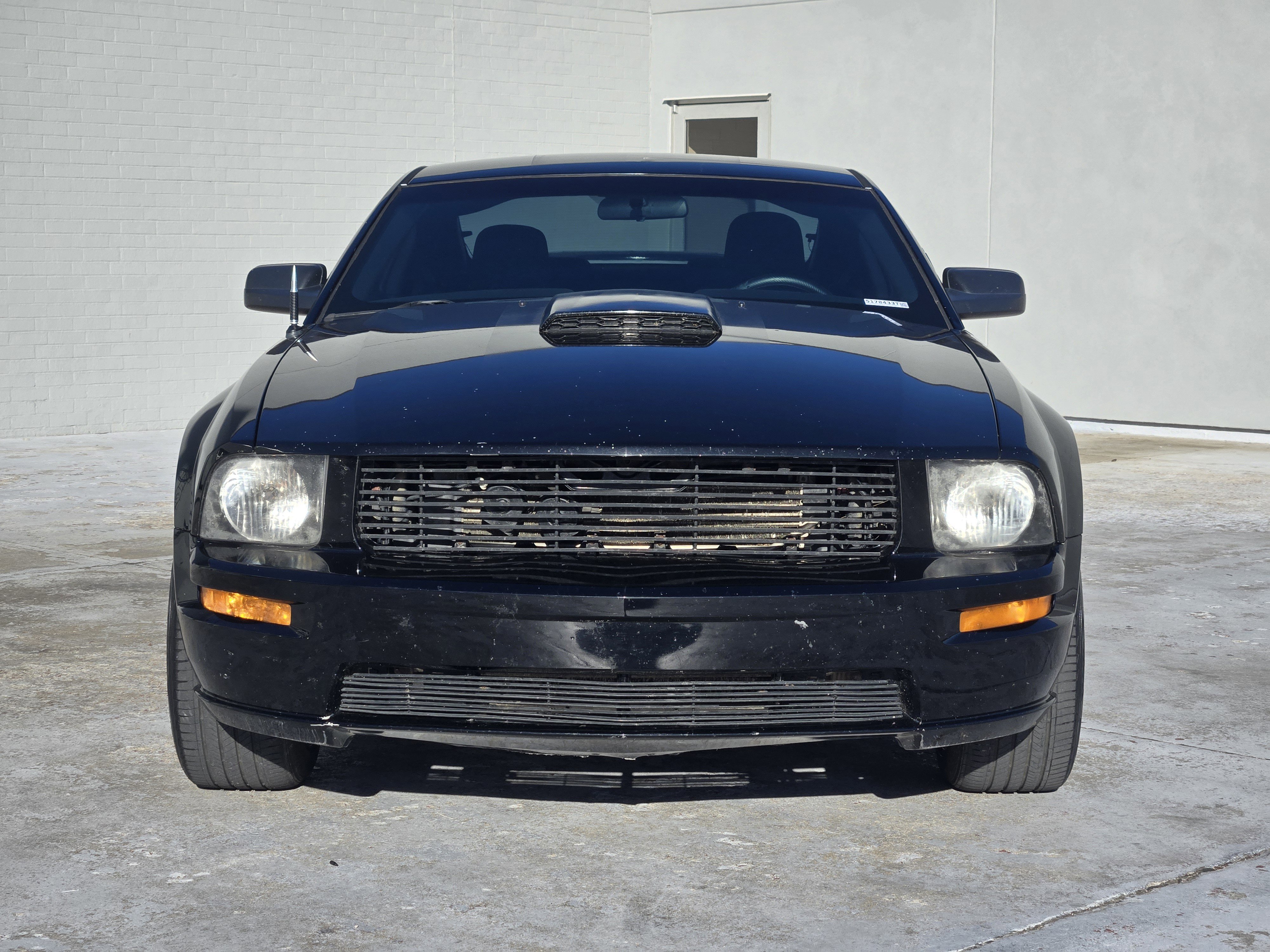 Used 2008 Ford Mustang GT Deluxe with VIN 1ZVHT82H985178433 for sale in Norman, OK