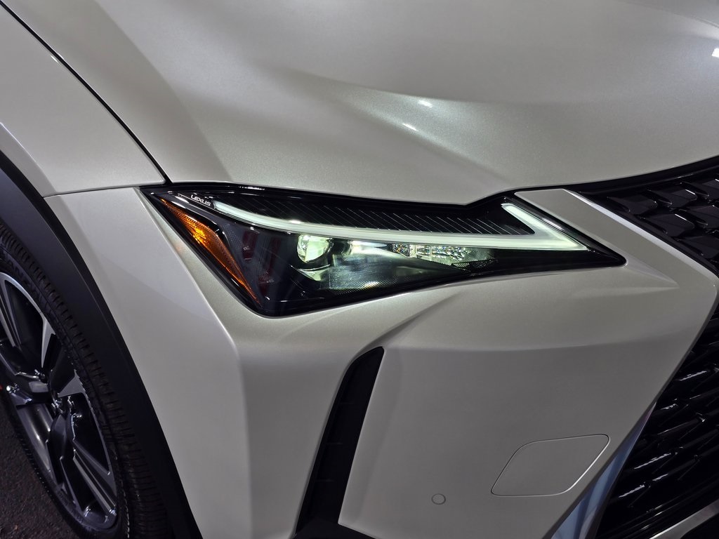 2025 Lexus UX photo 4