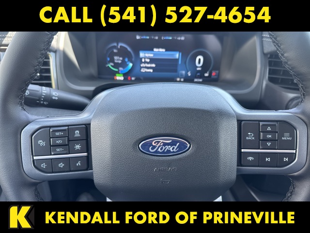 2025 Ford F-150 Lightning photo 16