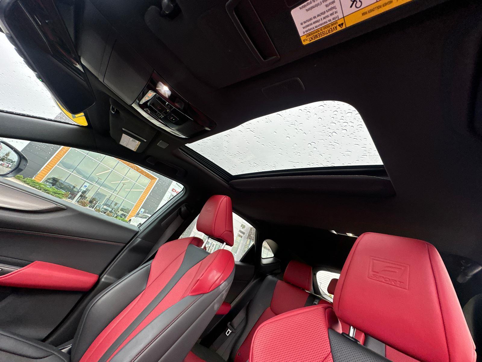 2022 Lexus NX F SPORT Handling photo 23