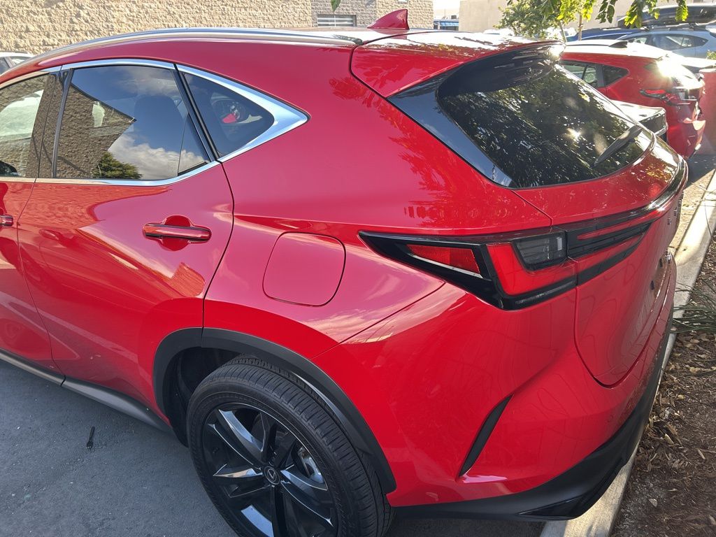 2024 Lexus NX 450h+ Luxury photo 3