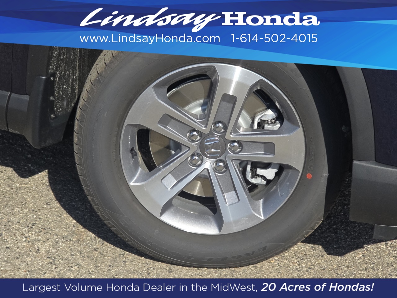2025 Honda Pilot EX-L photo 7