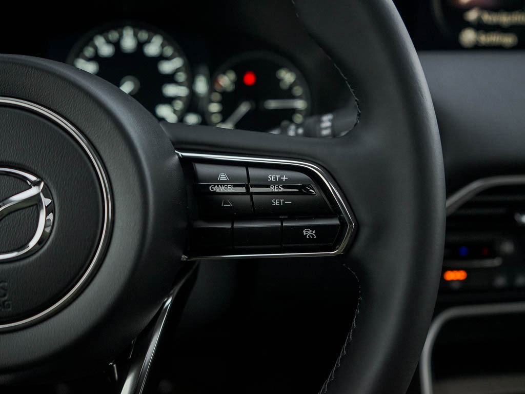 2025 Mazda CX-90 3.3 Turbo Preferred photo 20