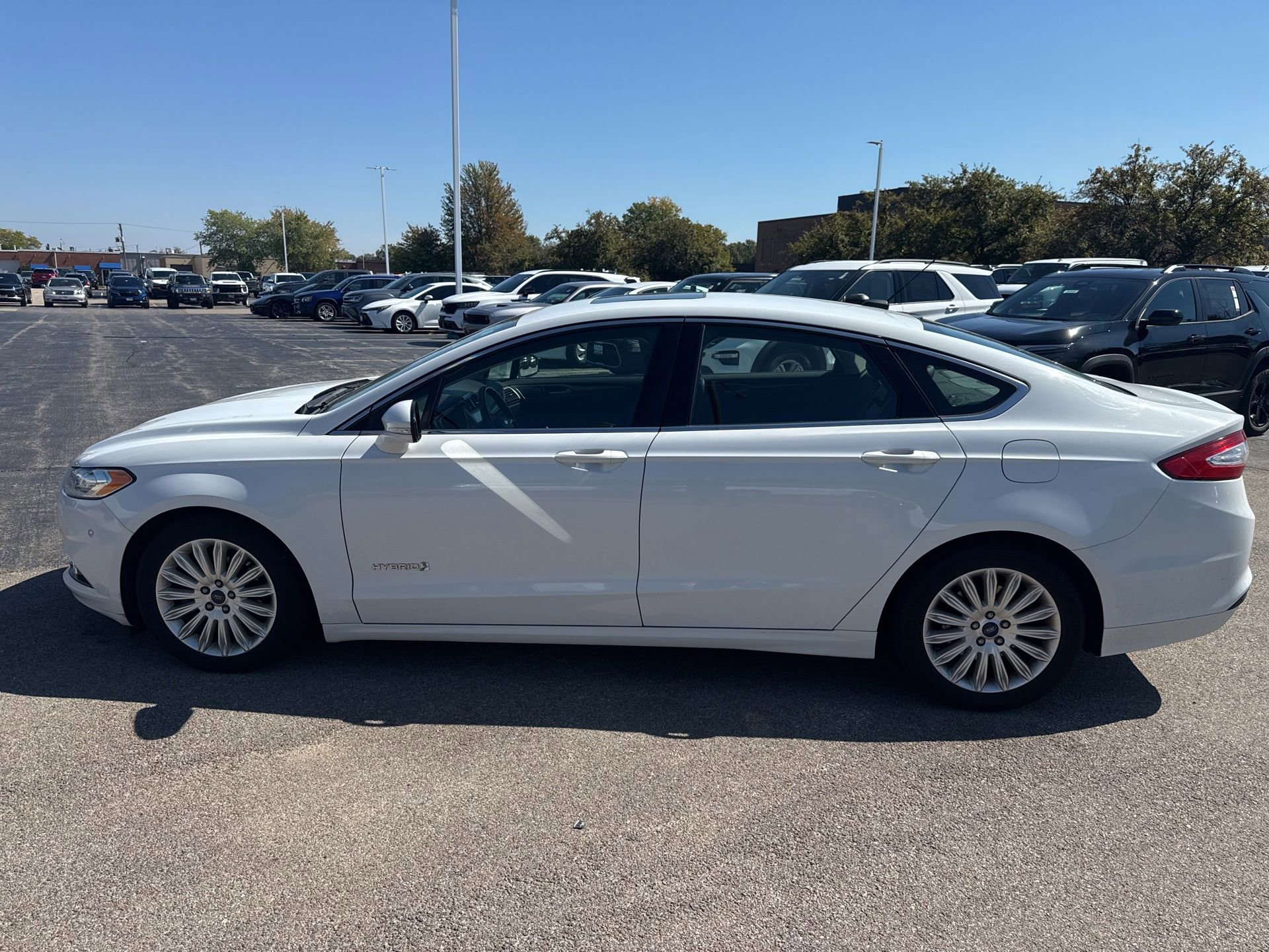 2016 Ford Fusion SE Hybrid photo 7