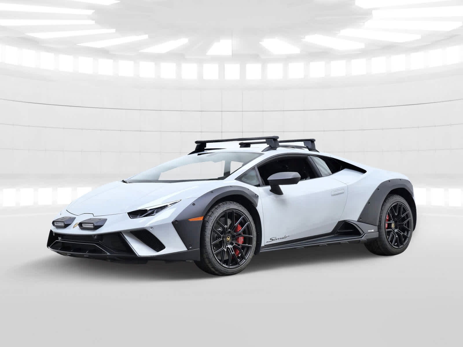 Suction Cup Lamborghini Ski Rack Suction Cup Seasucker Ski
