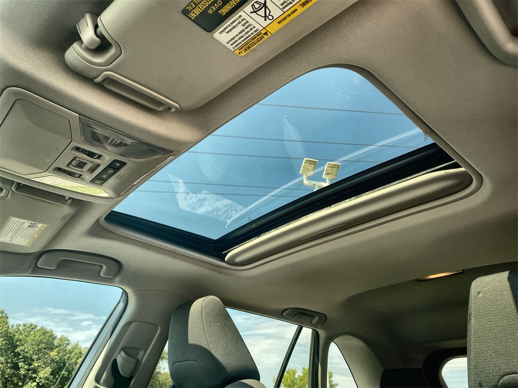 2019 Toyota RAV4 XLE photo 12
