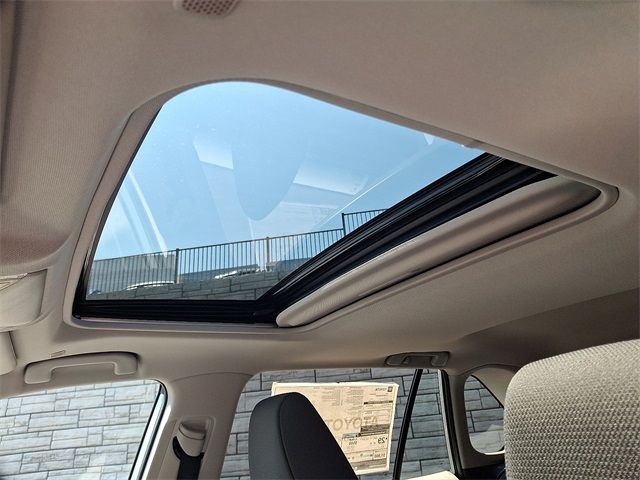 2025 Toyota RAV4 XLE photo 14