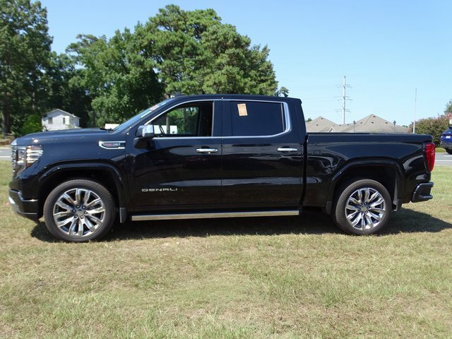 2024 Gmc Sierra 1500 Denali photo 3