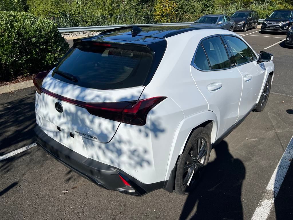 2023 Lexus UX 250h F SPORT Design photo 3