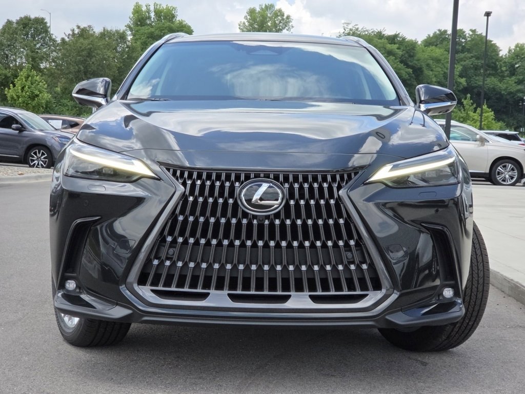 2025 Lexus NX 350 Luxury AWD photo 3