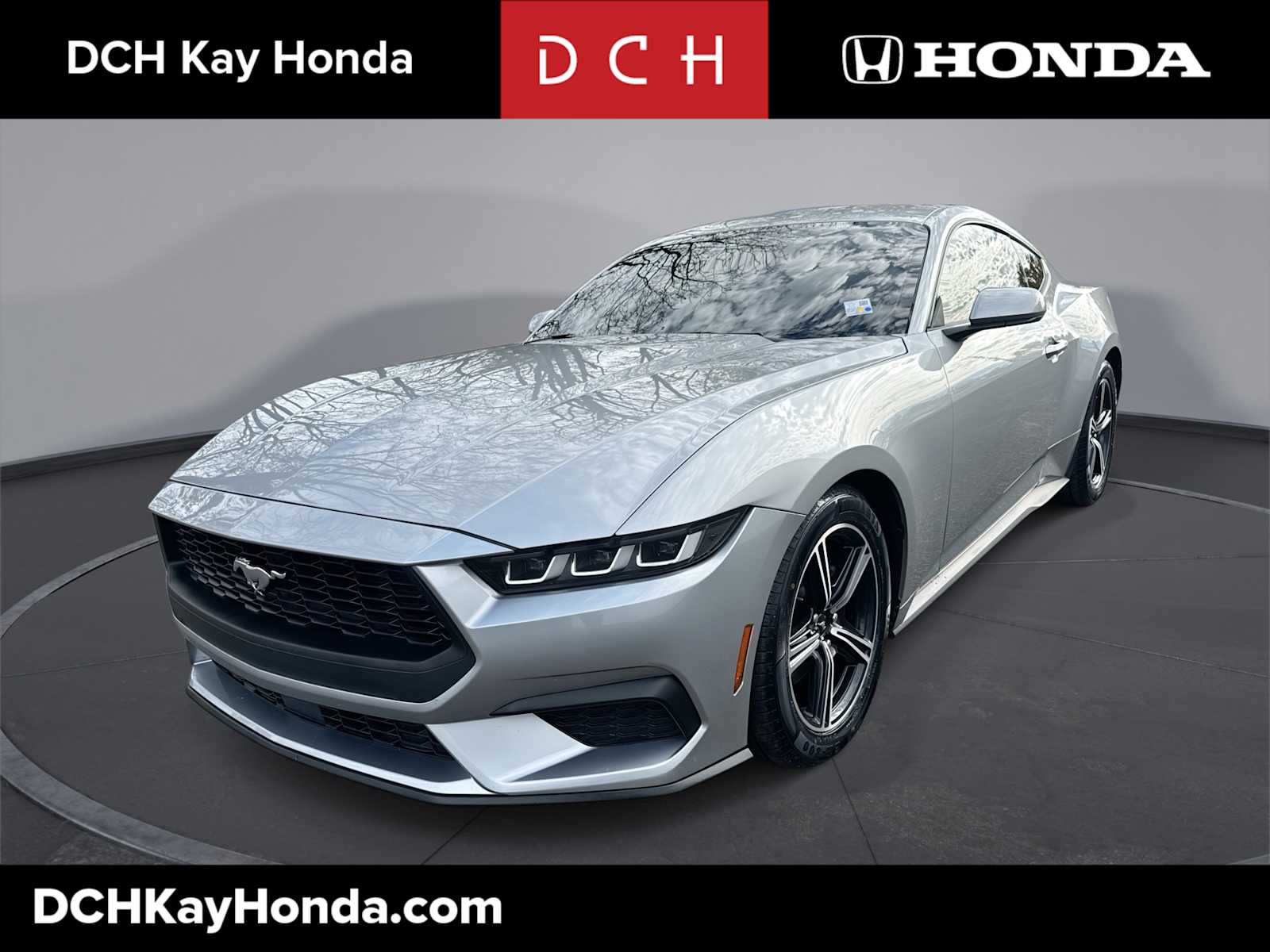 2024 Ford Mustang EcoBoost's photo