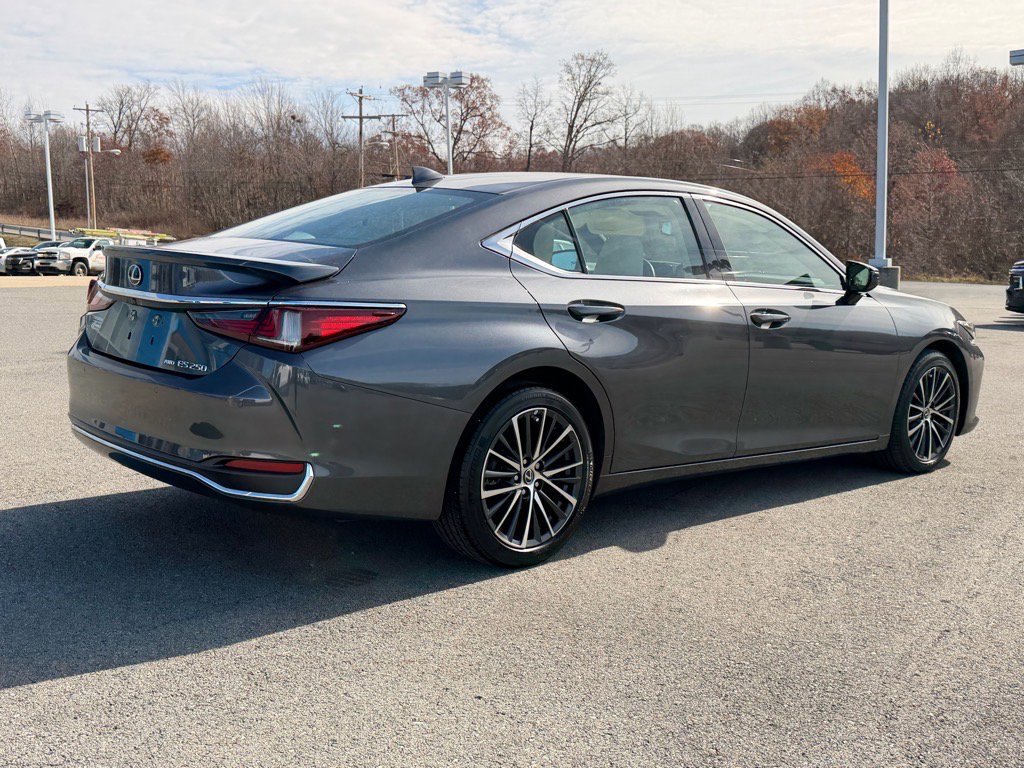 2022 Lexus ES 250 AWD photo 4