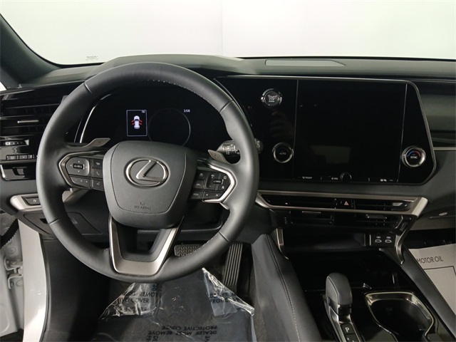 2024 Lexus RX 350 photo 9