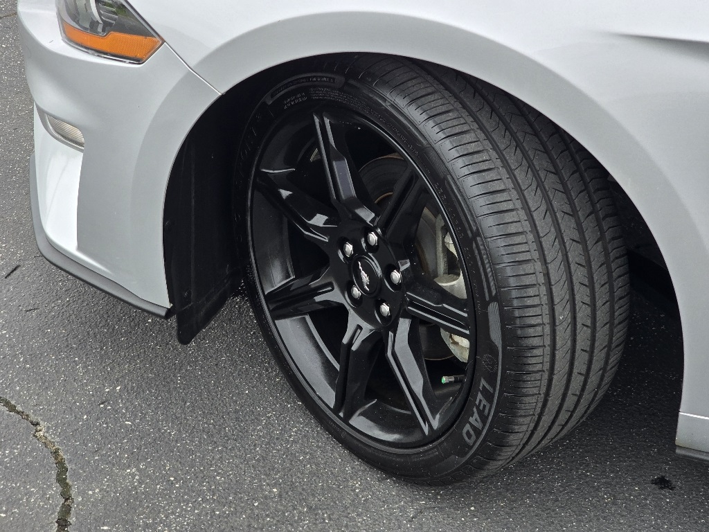 2019 Ford Mustang EcoBoost photo 26