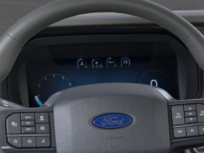 2025 Ford F-150 Platinum photo 9