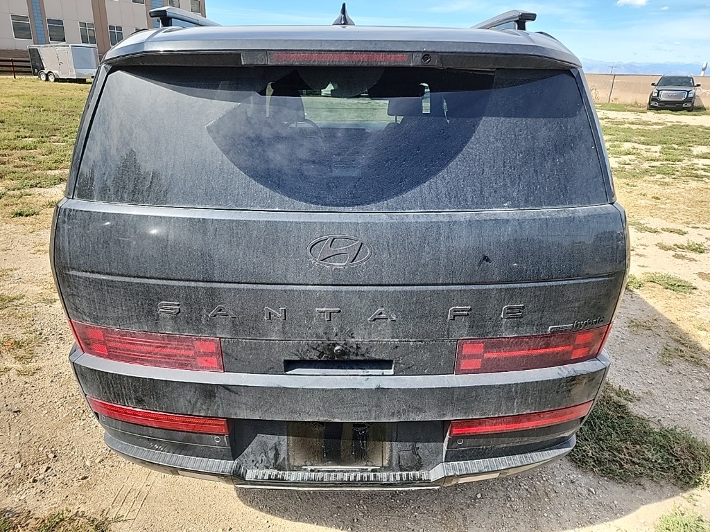 2025 Hyundai Santa Fe Calligraphy photo 2