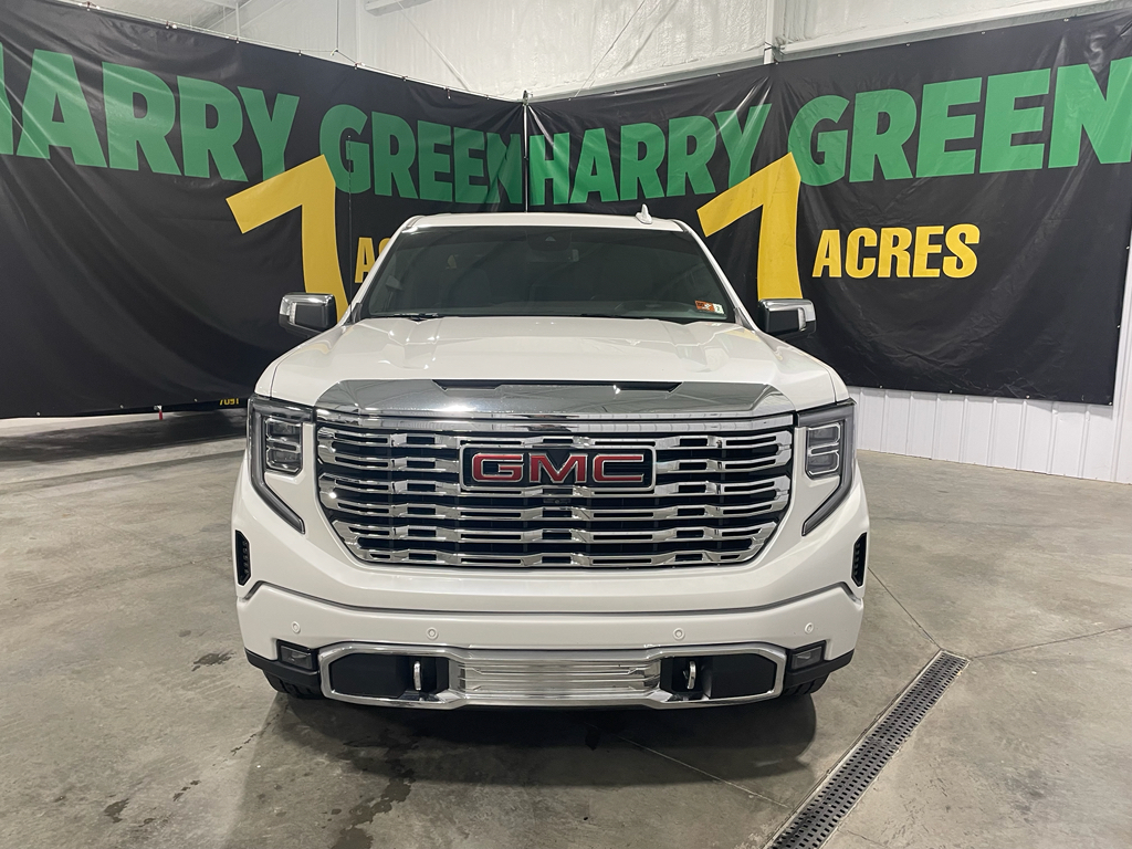 2022 Gmc Sierra 1500 Denali photo 2