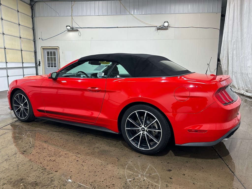 2020 Ford Mustang EcoBoost Premium photo 7
