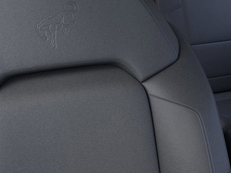 2025 Ford Bronco Badlands photo 15