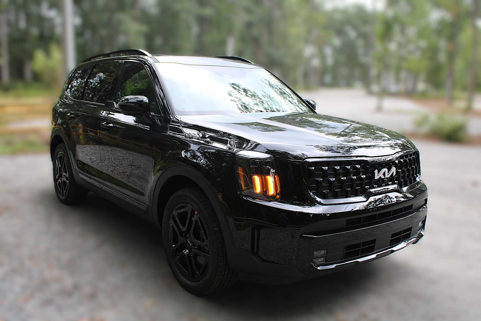 2025 Kia Telluride SX Prestige X-Line photo 13