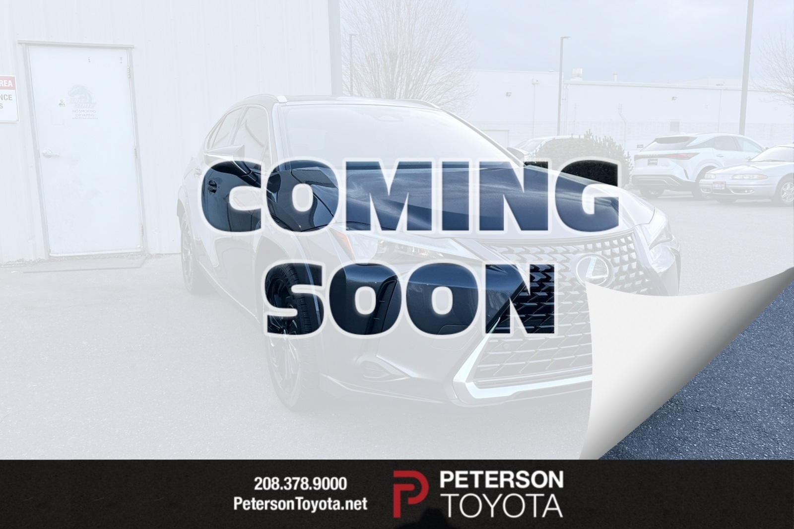 2025 Lexus UX Hybrid 300h Premium's photo