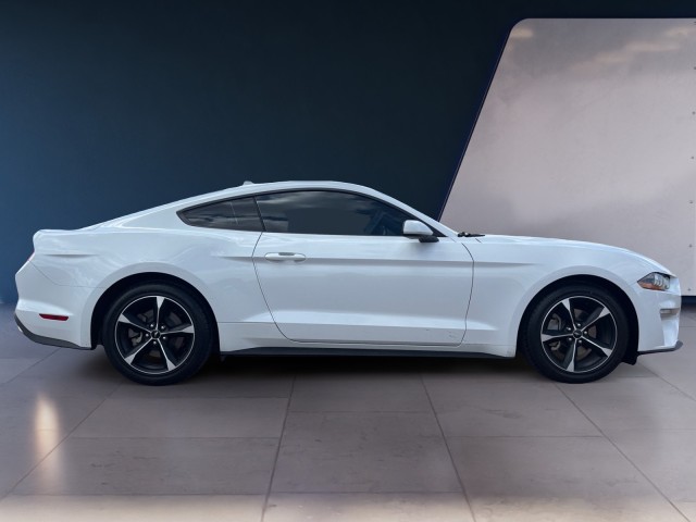 2023 Ford Mustang EcoBoost photo 6