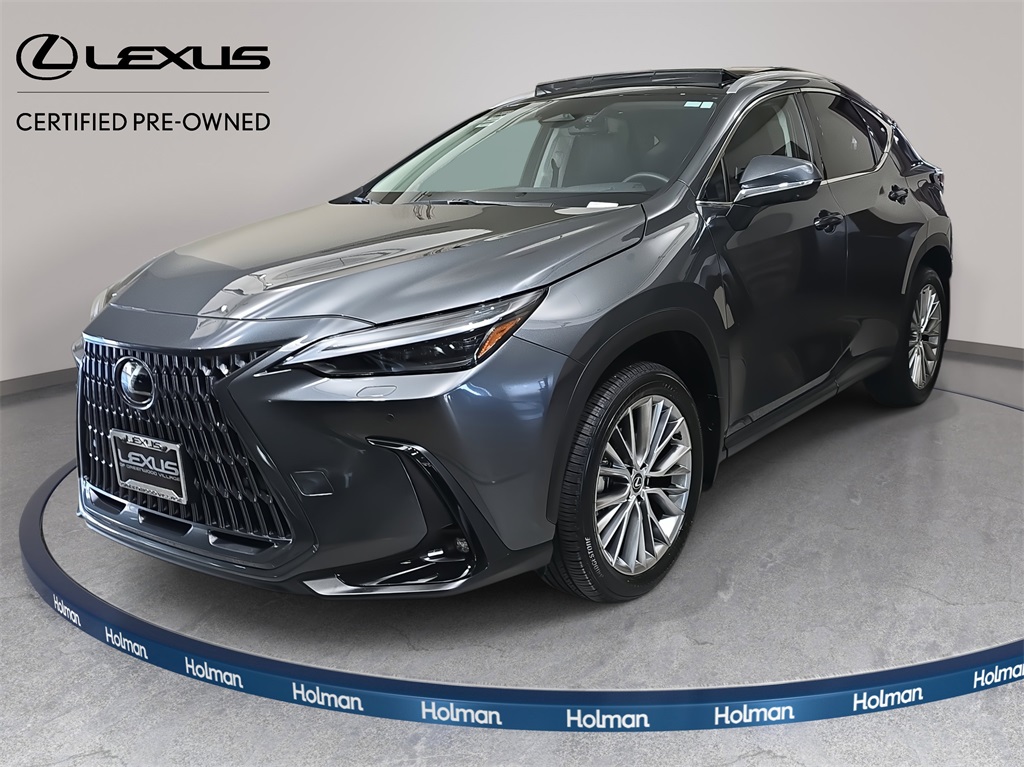 2025 Lexus NX 350's photo