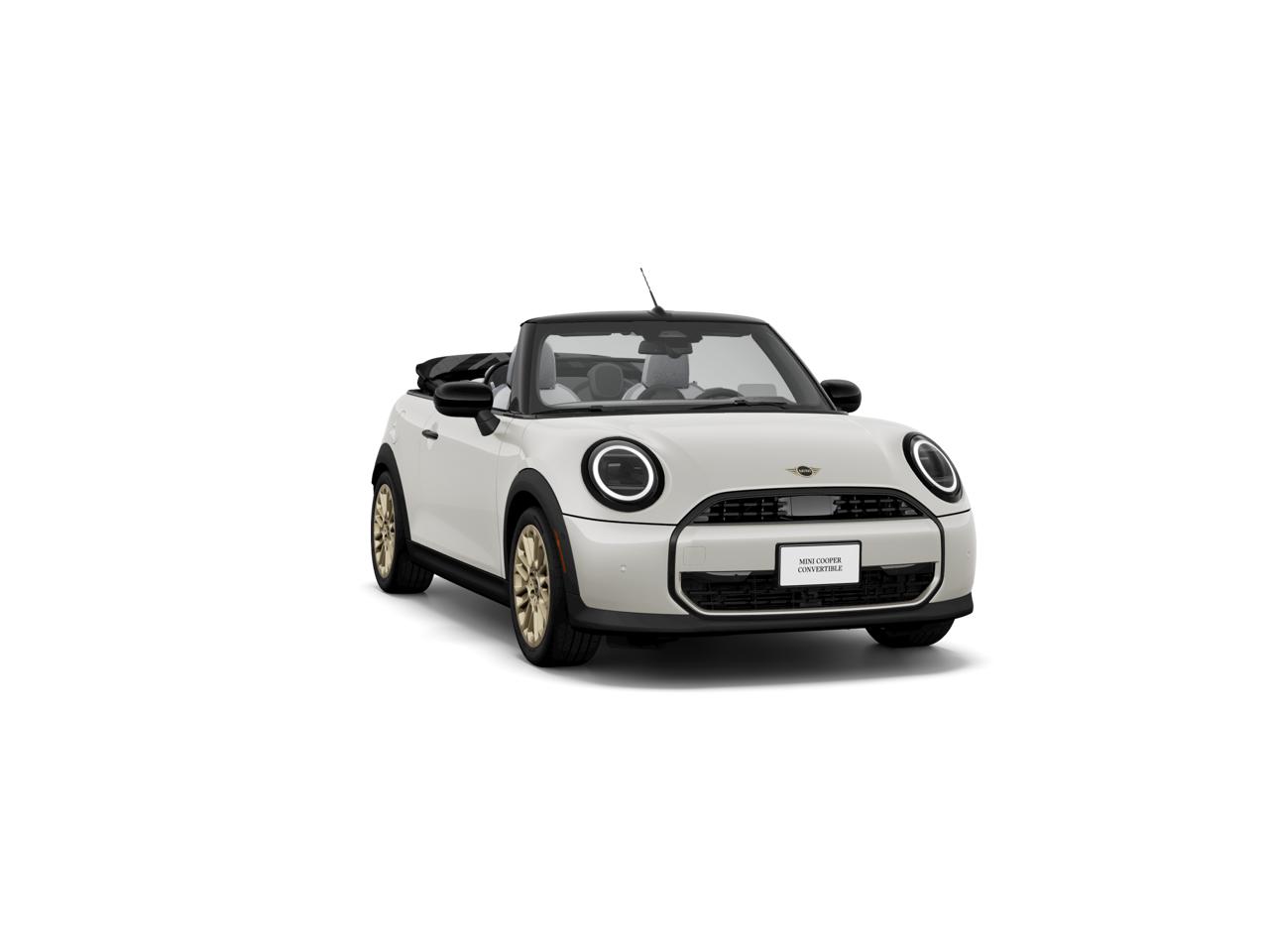 New 2026 Nanuq White Metallic MINI SIGNATURE PLUS image 1