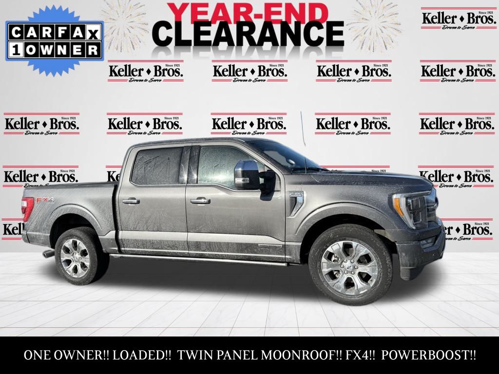 2022 Ford F-150 Platinum's photo