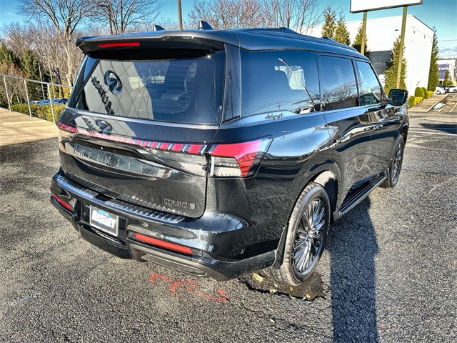2025 Infiniti QX80 photo 3