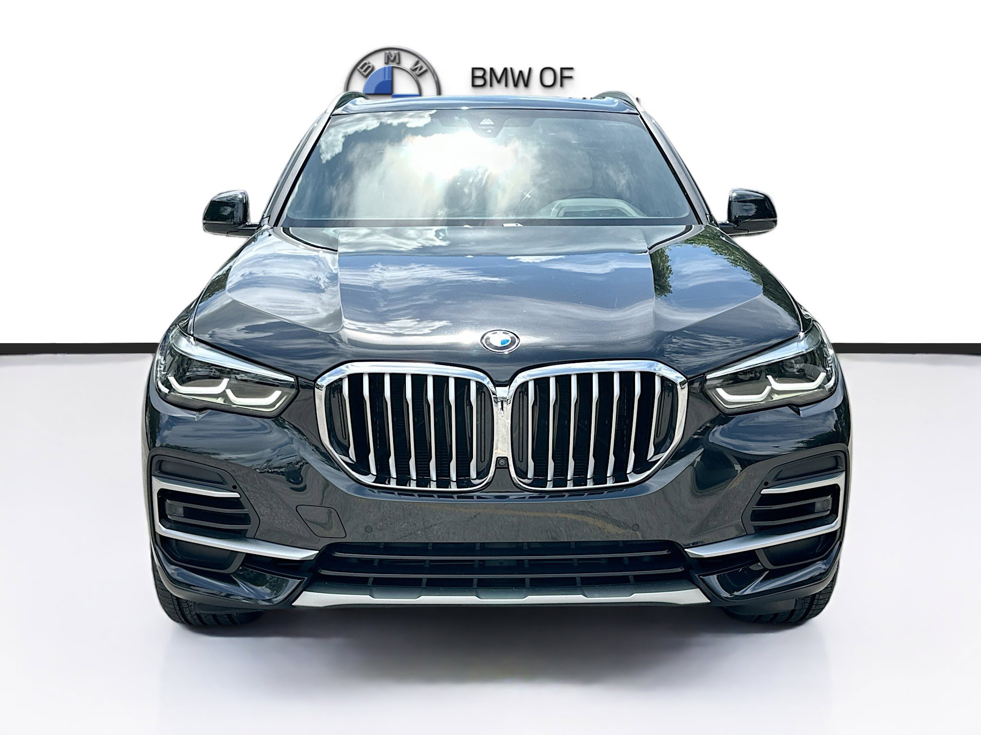 2022 Bmw X5 xDrive40i photo 2