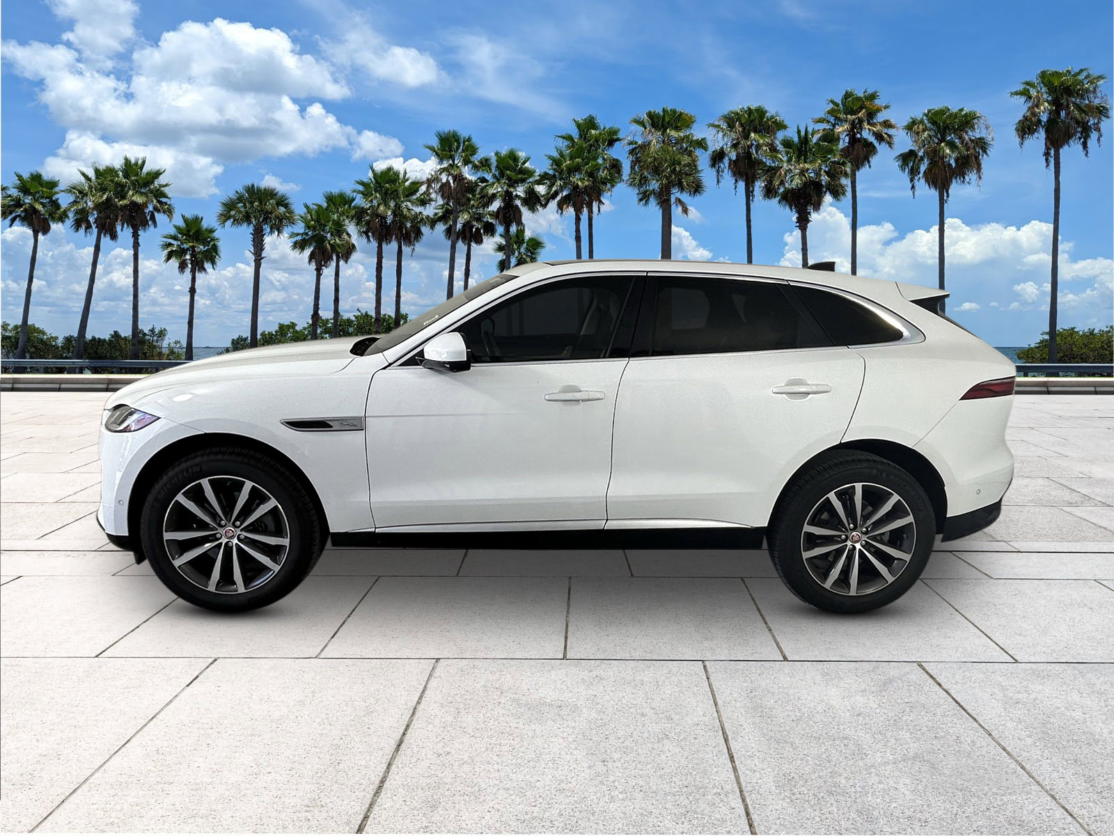 2021 Jaguar F-PACE P250 S photo 6