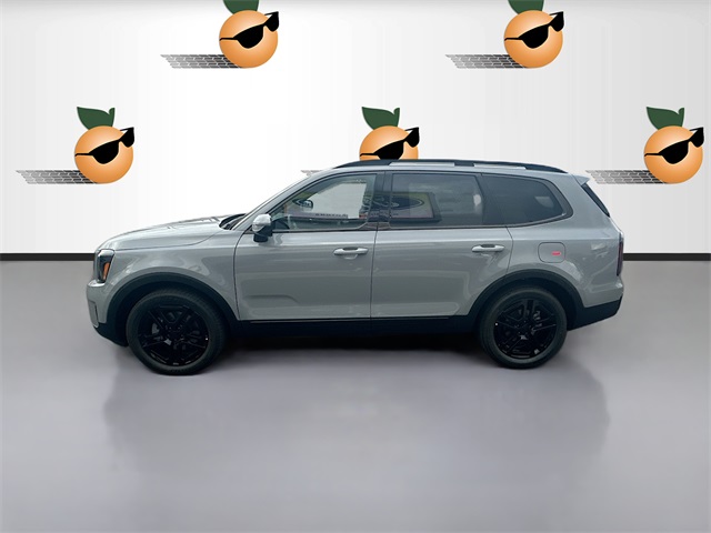 2025 Kia Telluride SX Prestige X-Line photo 2