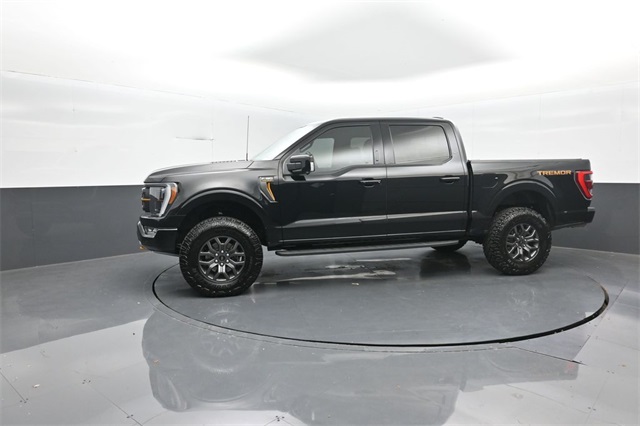 2022 Ford F-150 Tremor photo 4