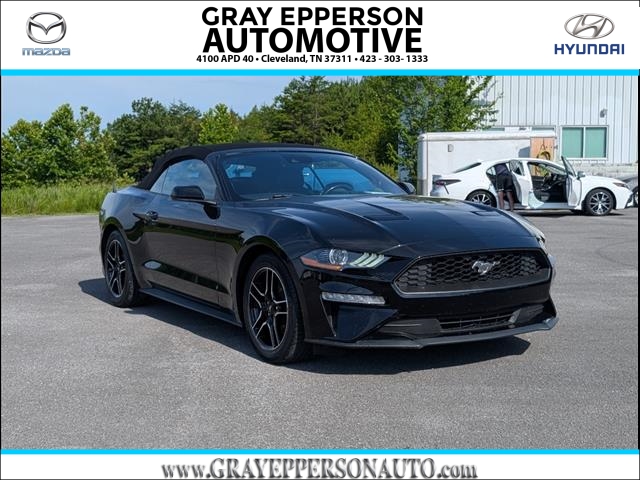 2023 Ford Mustang EcoBoost Premium's photo