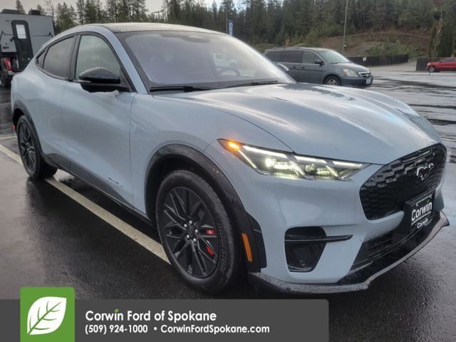 2025 Ford Mustang Mach-E Premium AWD's photo