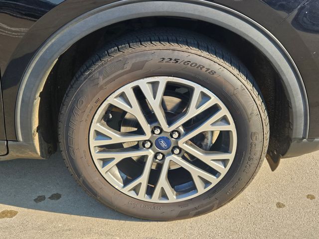 2020 Ford Escape SEL photo 3