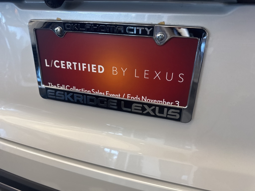 2024 Lexus RX 350 Premium photo 7