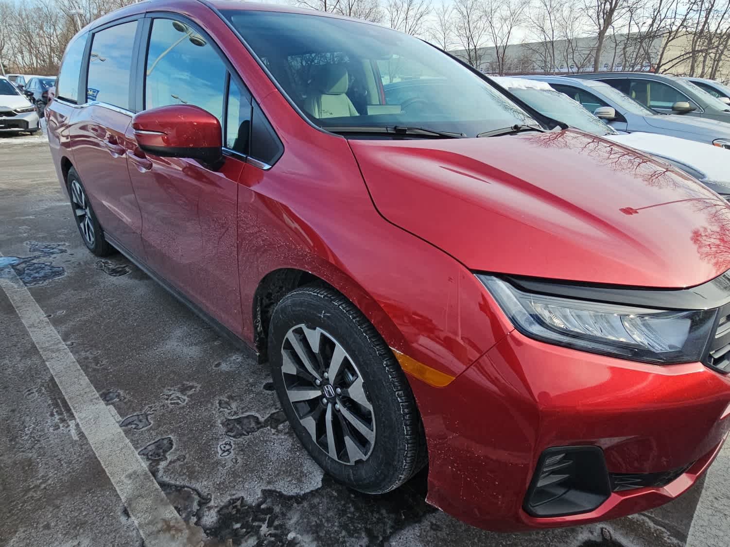 Certified 2026 Honda Odyssey EX-L with VIN 5FNRL6H60TB007529 for sale in Hopkins, Minnesota