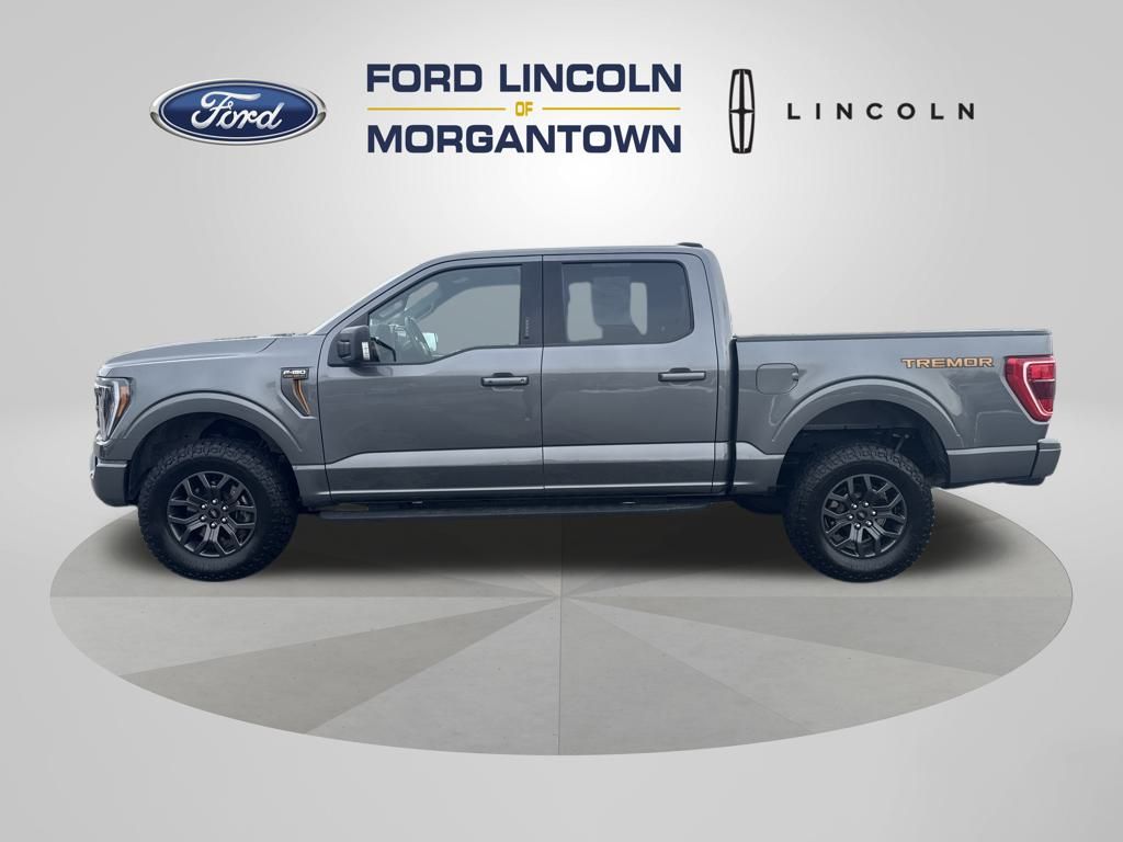 2023 Ford F-150 Tremor's photo