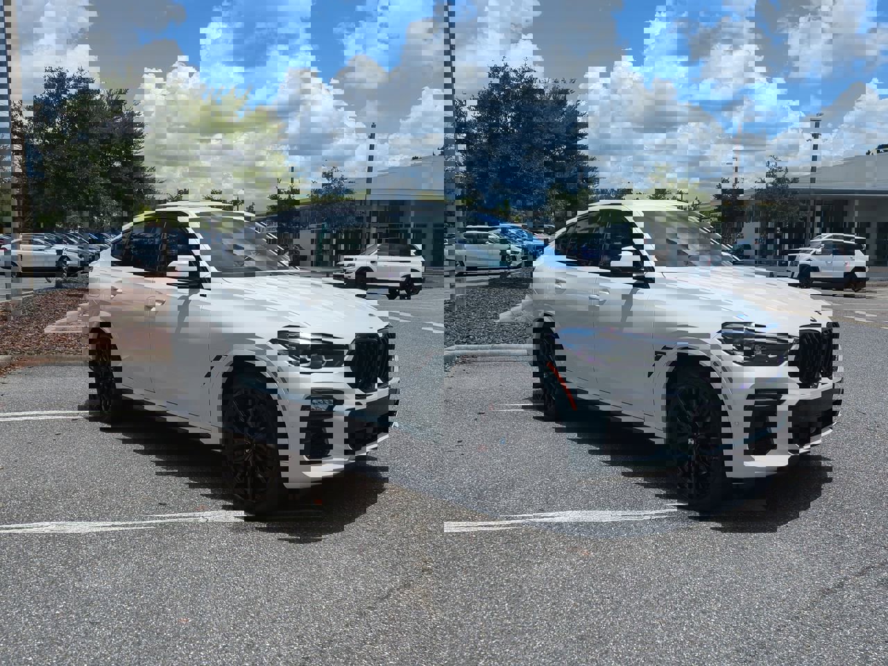 2021 Bmw X6 xDrive40i photo 3