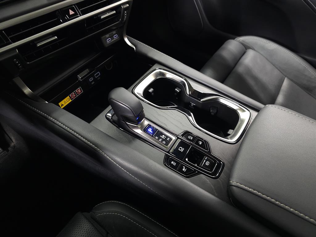 2024 Lexus RX 350 photo 26